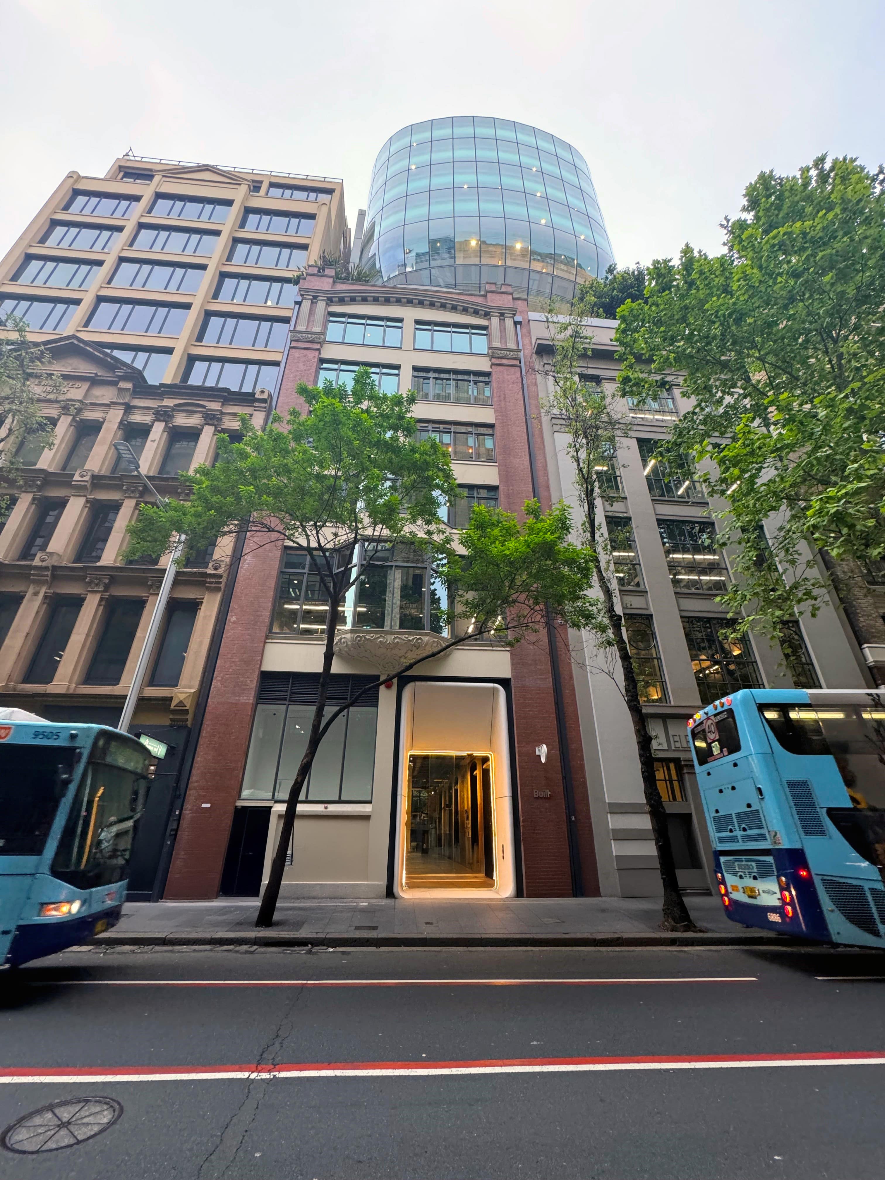 The front of the 183 - 185 Clarence Street Offices, with a large tree in the foreground and buses driving past.